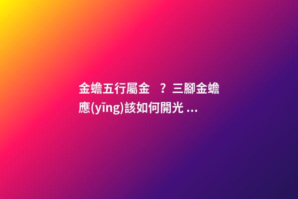 金蟾五行屬金？三腳金蟾應(yīng)該如何開光？